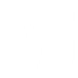 Person 2